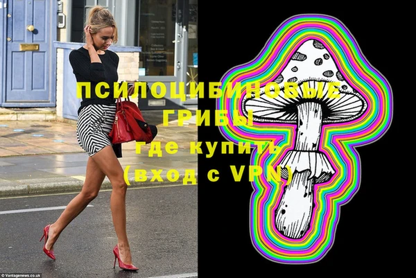 молекула духа Белоозёрский
